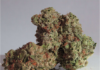 Exploring Weed Culture and Legal Dispensaries in NYC – A Look at VGTNYC Dispensary